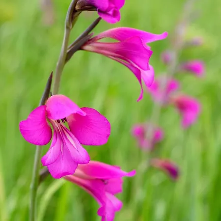 Maria Parcare Privata Subterana Apartment Bucharest