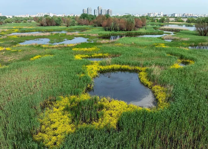 Maria Parcare Privata Subterana *