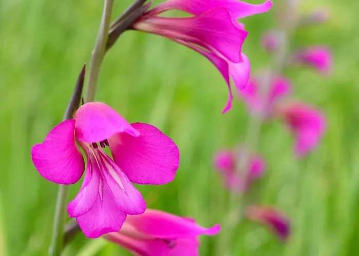 Maria Parcare Privata Subterana شقة بوخارست